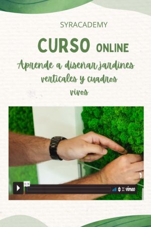 Aprende a diseñar jardines verticales y cuadros vivos